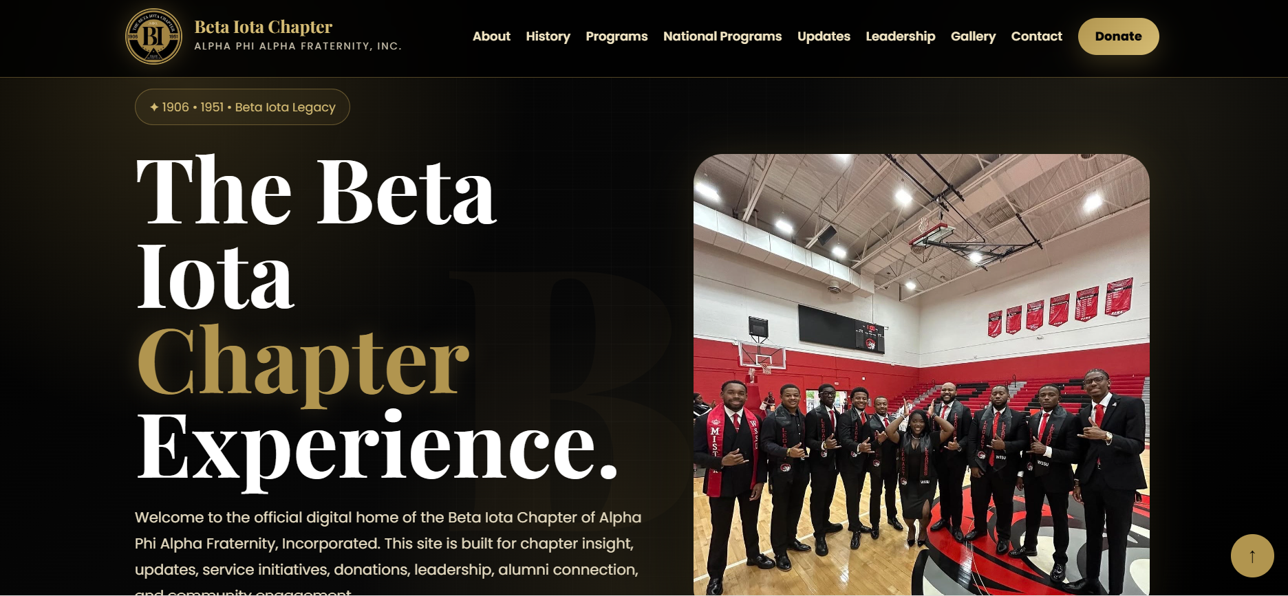 Organization Website preview